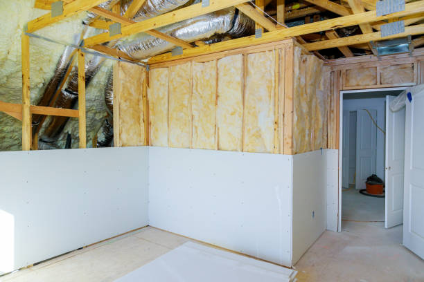 Best Local Insulation Services  in Sterling, GA